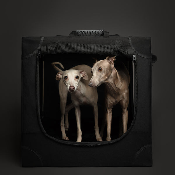Noah & Paw collapsible travel dog crate with pet mat, black, size L (30 x 21 x 21 in)