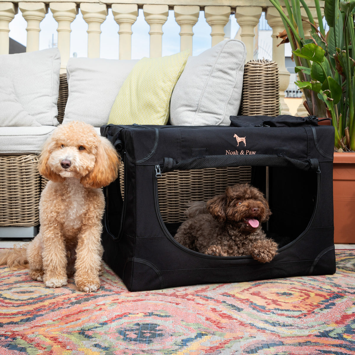 Collapsible dog crate travel | Foldable pet crate comfort - Black - M