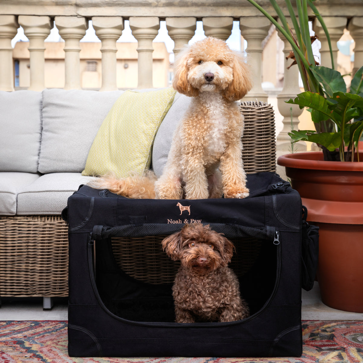 Collapsible dog crate travel | Foldable pet crate comfort - Black - M