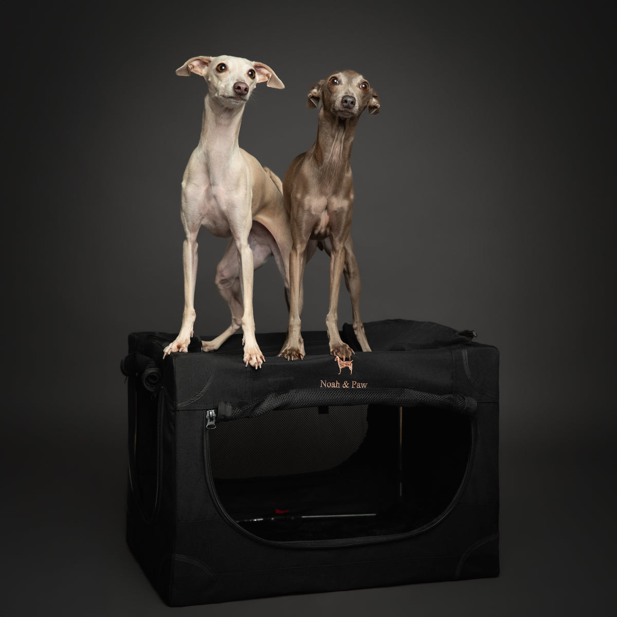Collapsible dog crate travel | Foldable pet crate comfort - Black - M