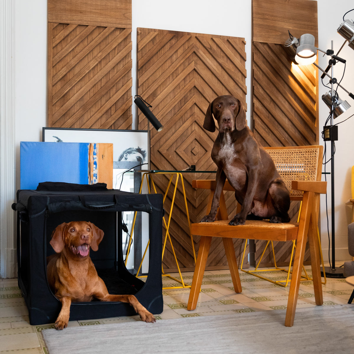 Collapsible dog crate travel | Foldable pet crate comfort - Black - XL