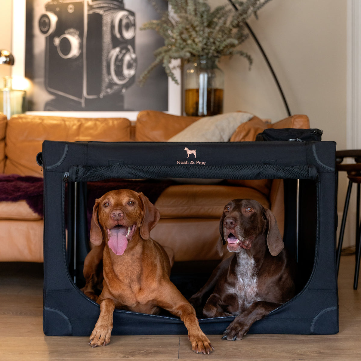 Collapsible dog crate travel | Foldable pet crate comfort - Black - XL