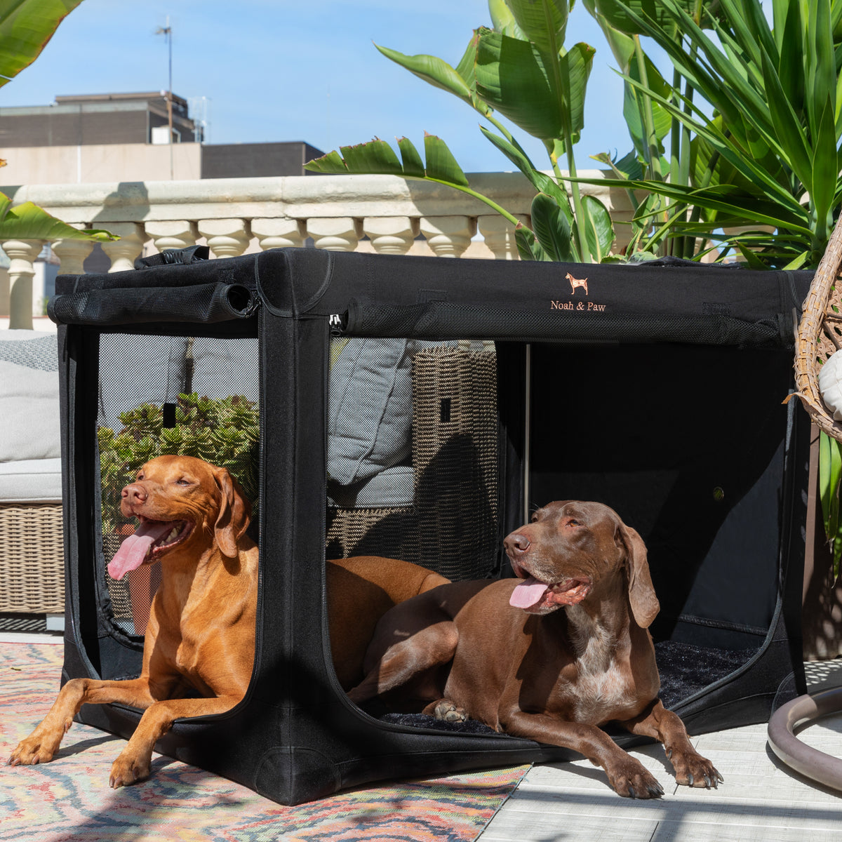 Collapsible dog crate travel | Foldable pet crate comfort - Black - XXL