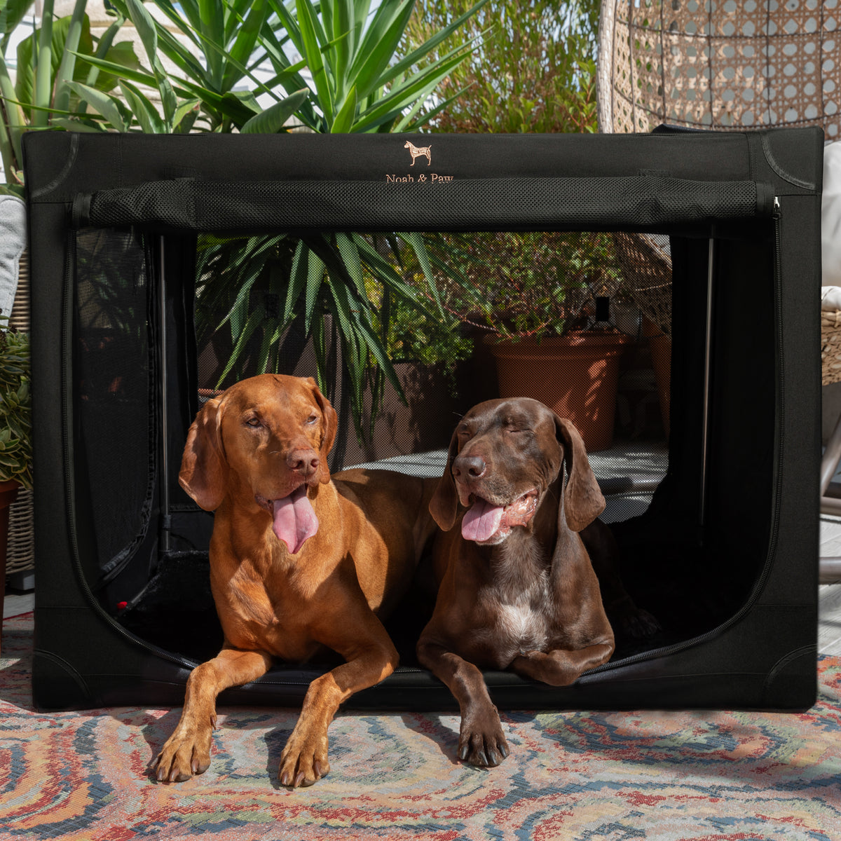 Collapsible dog crate travel | Foldable pet crate comfort - Black - XXL
