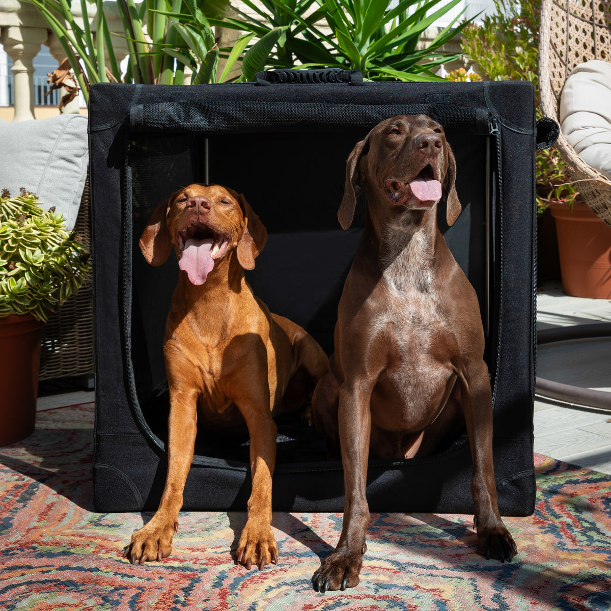 Collapsible dog crate travel | Foldable pet crate comfort - Black - XXL