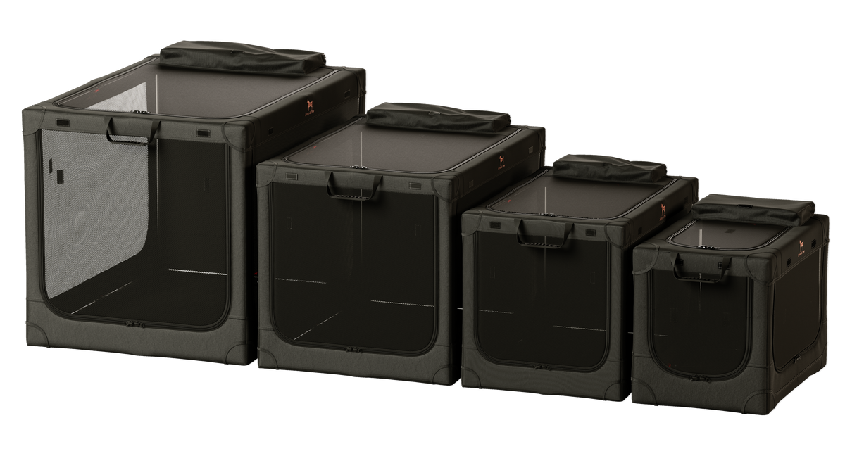 Collapsible dog crate travel | Foldable pet crate comfort - Black - XXL