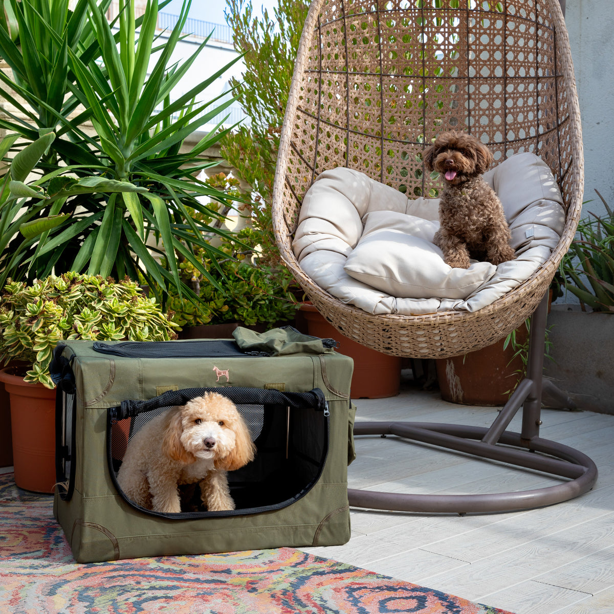 Collapsible dog crate travel | Folding pet crate comfort - Green - M