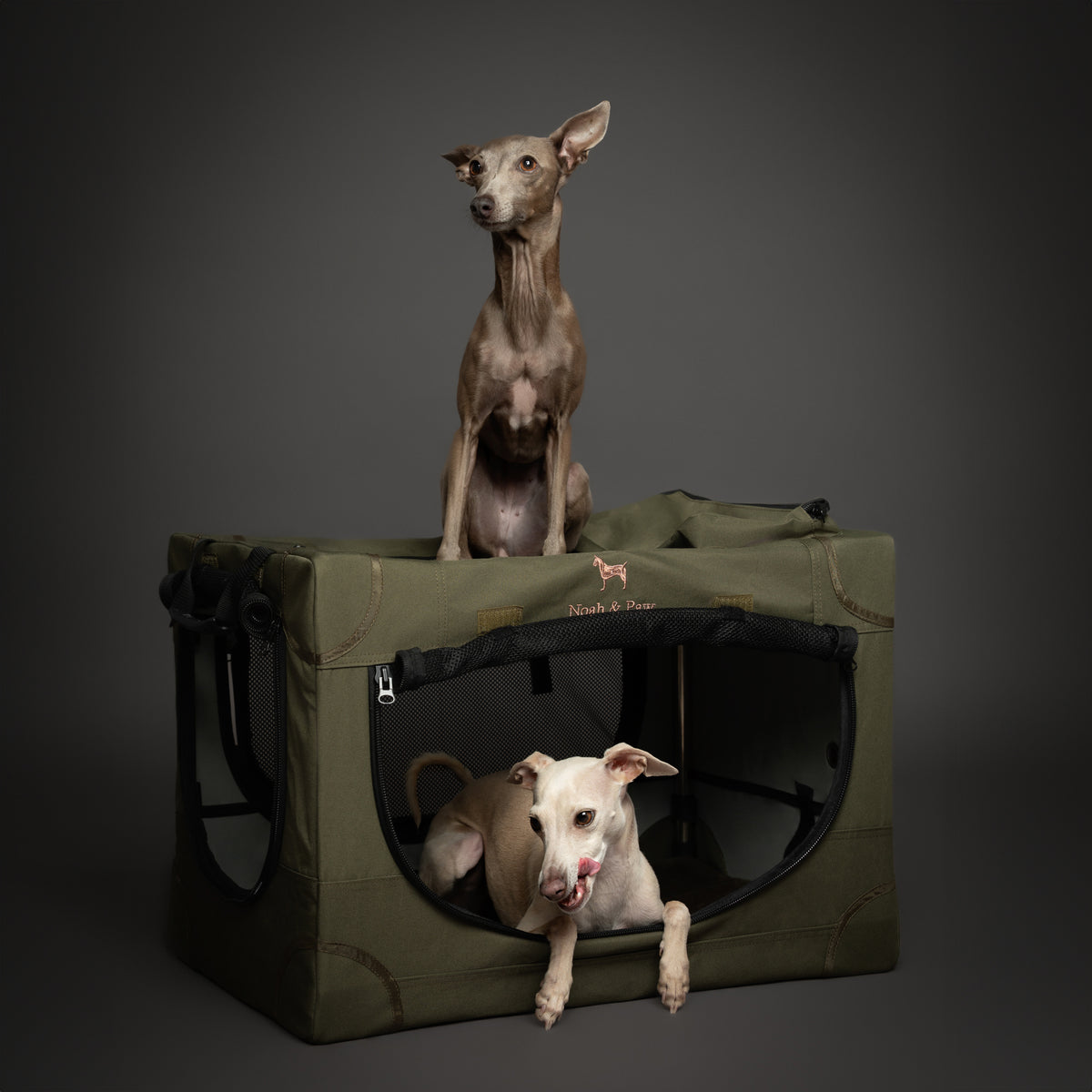 Collapsible dog crate travel | Folding pet crate comfort - Green - M