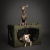 Collapsible Dog Crate Including Pet Mat Ideal for Traveling (Patented Folding)