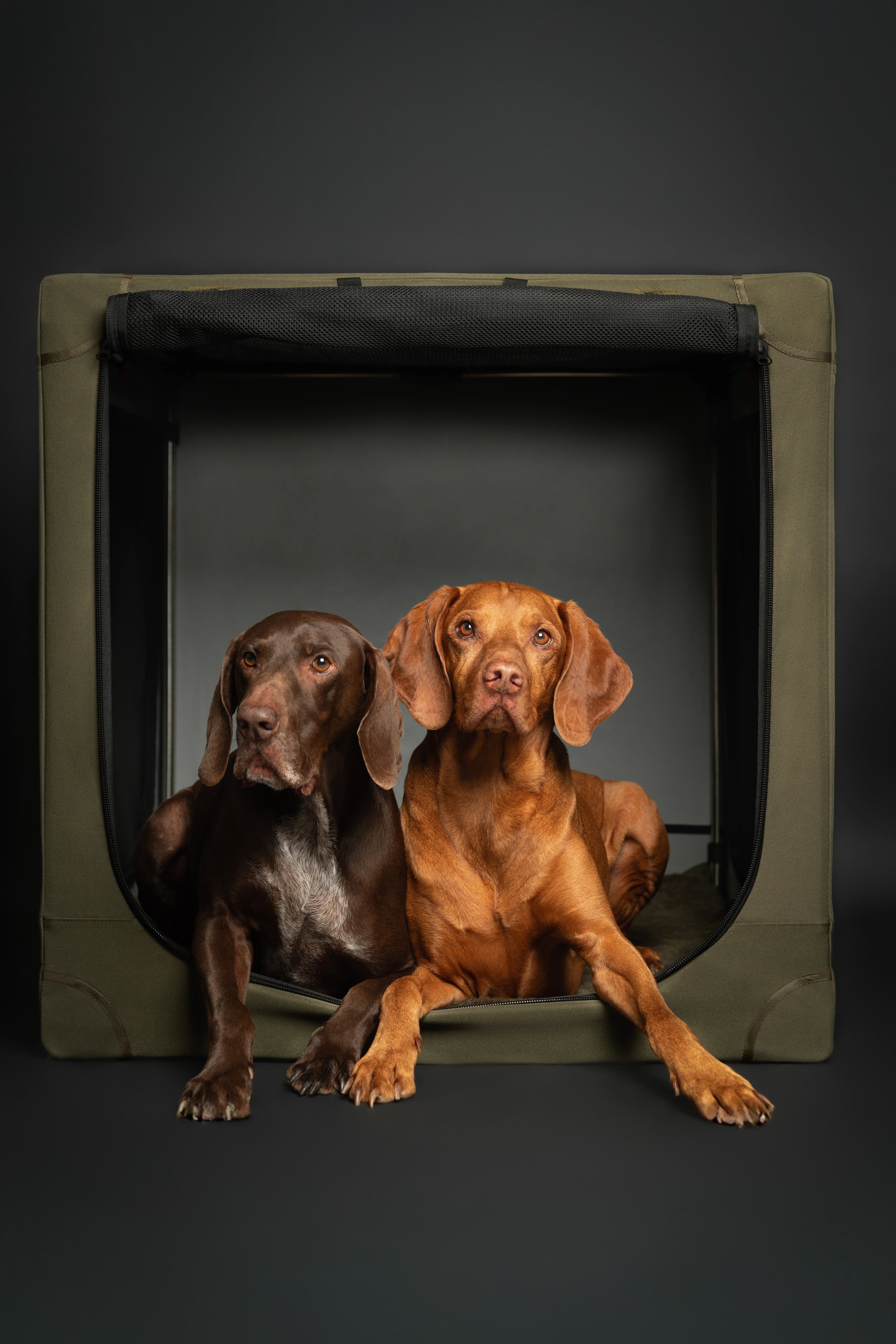 Collapsible dog crate travel | Folding pet crate comfort - Green - XL