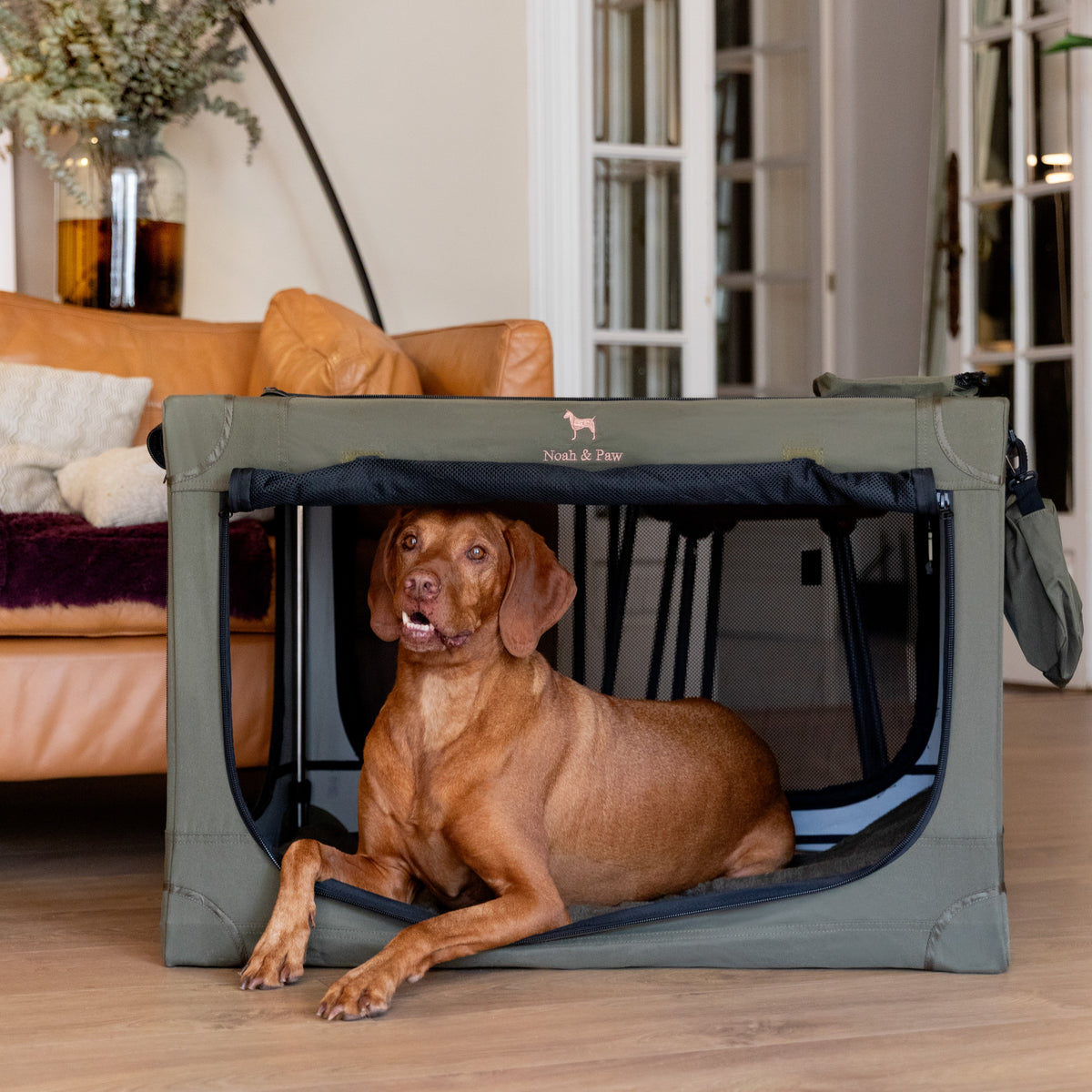Collapsible dog crate travel | Folding pet crate comfort - Green - XL