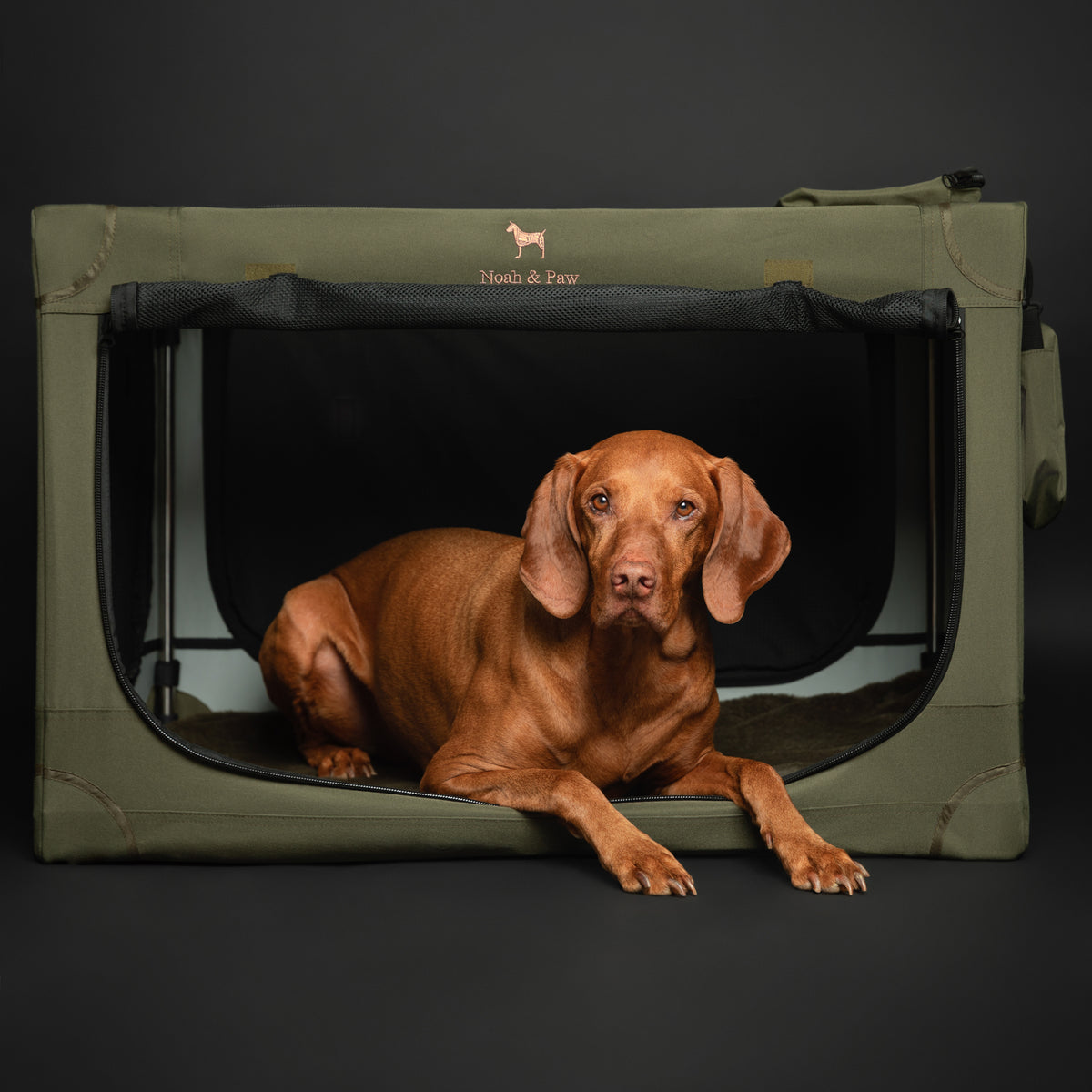 Collapsible dog crate travel | Folding pet crate comfort - Green - XL