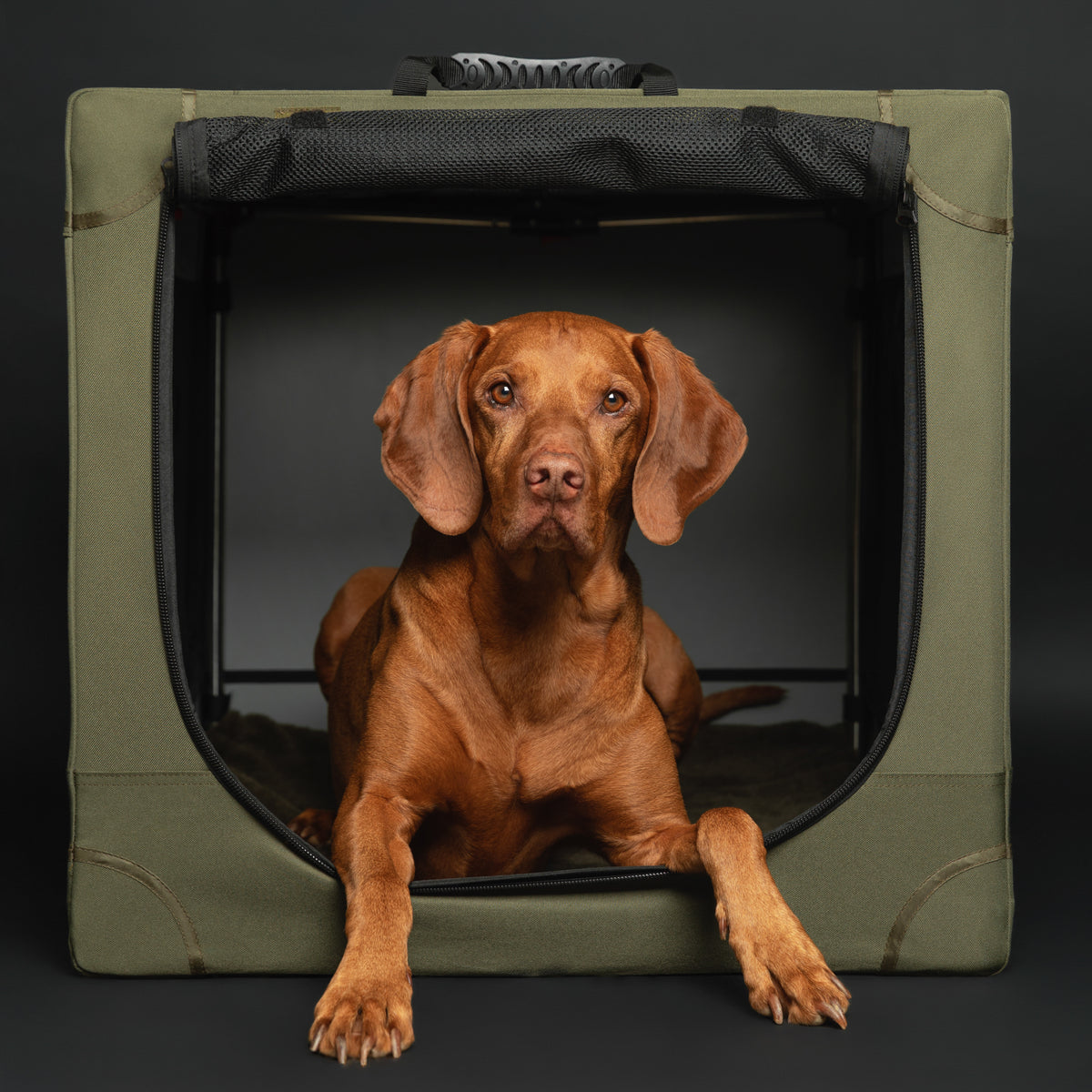 Collapsible dog crate travel | Folding pet crate comfort - Green - XL