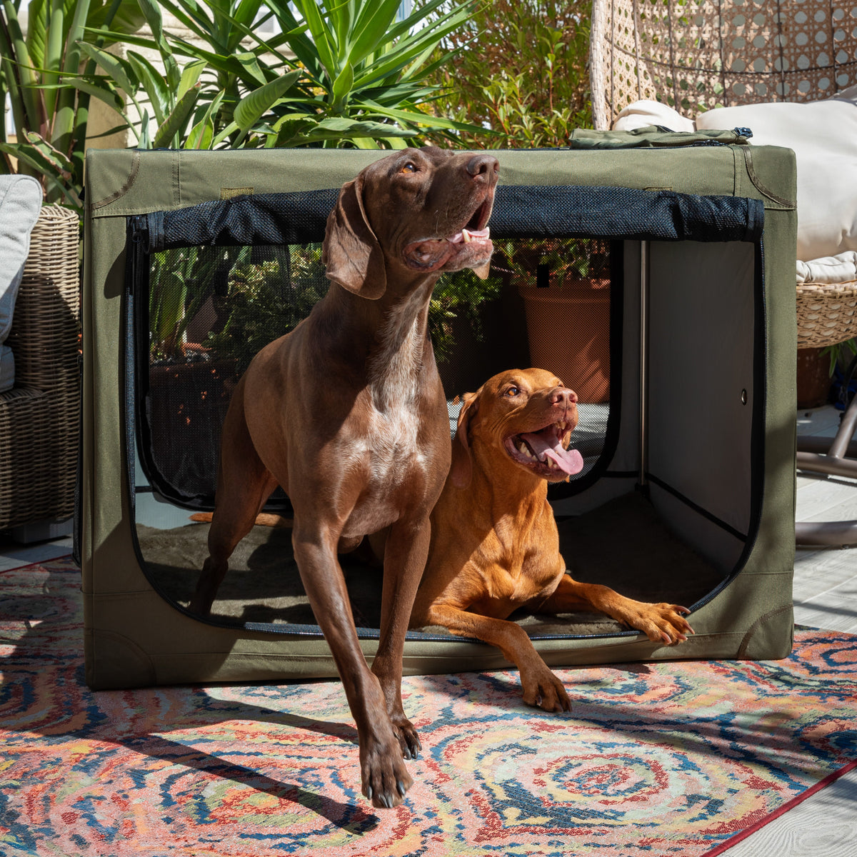 Collapsible dog crate travel | Folding pet crate comfort - Green - XXL