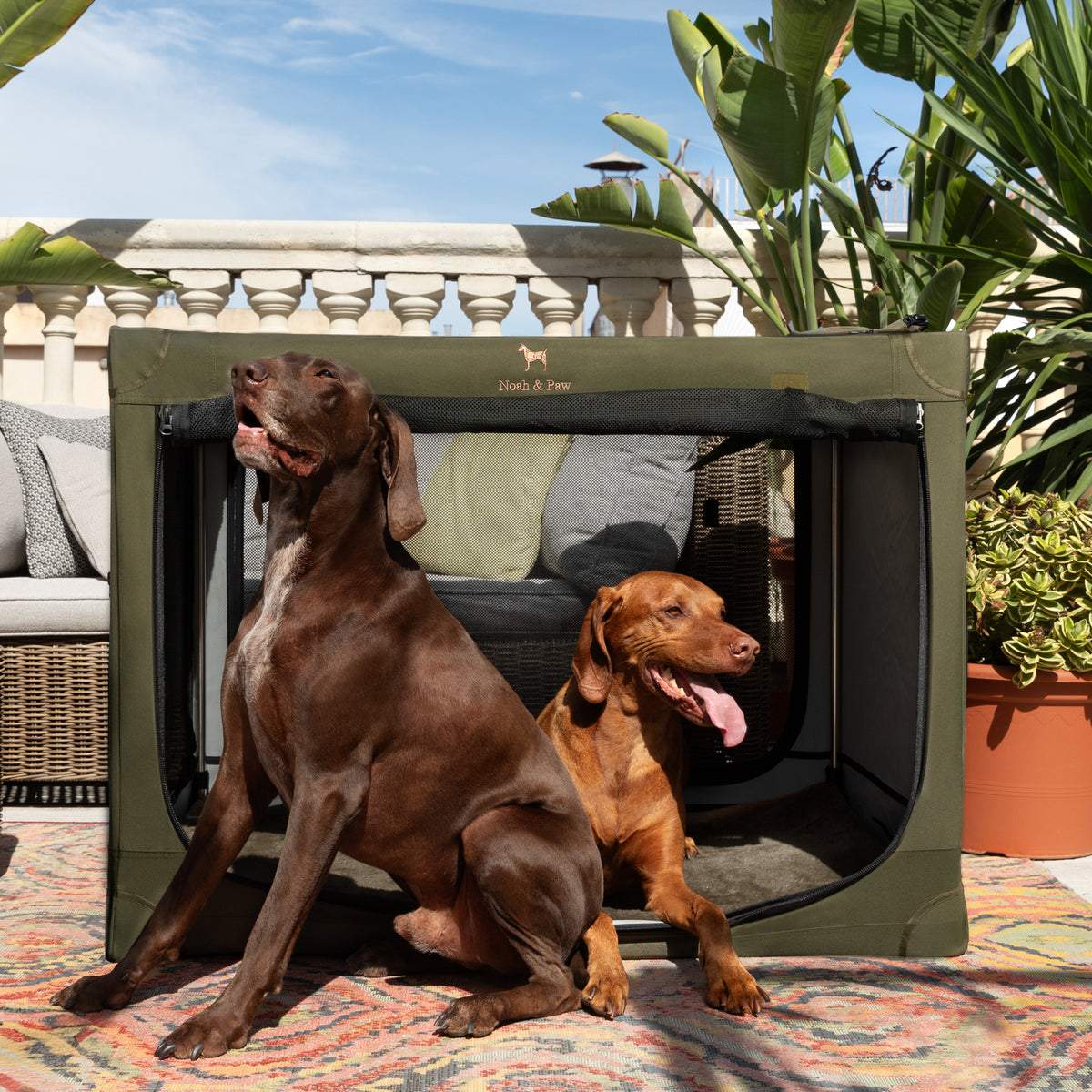 Collapsible dog crate travel | Folding pet crate comfort - Green - XXL