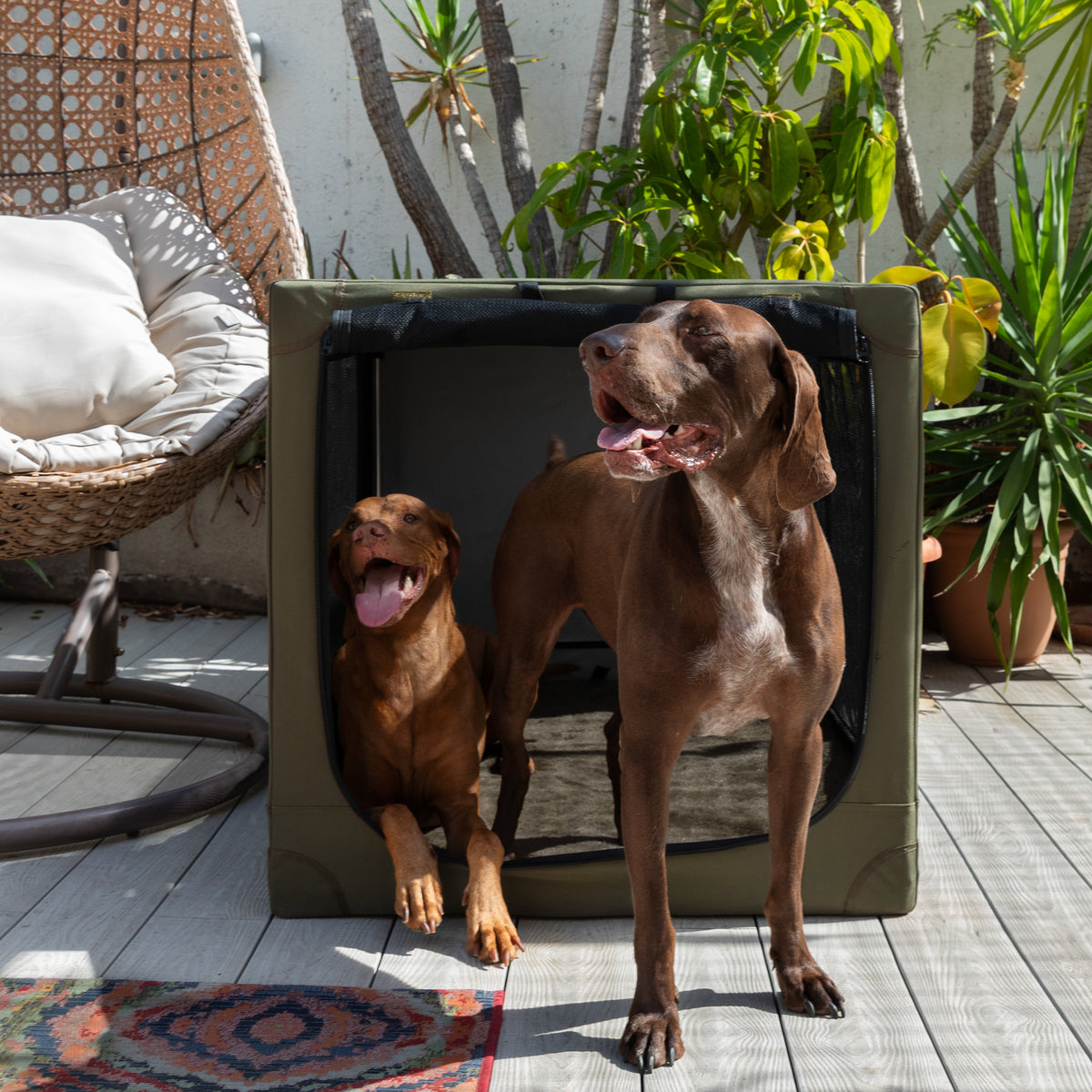 Collapsible dog crate travel | Folding pet crate comfort - Green - XXL