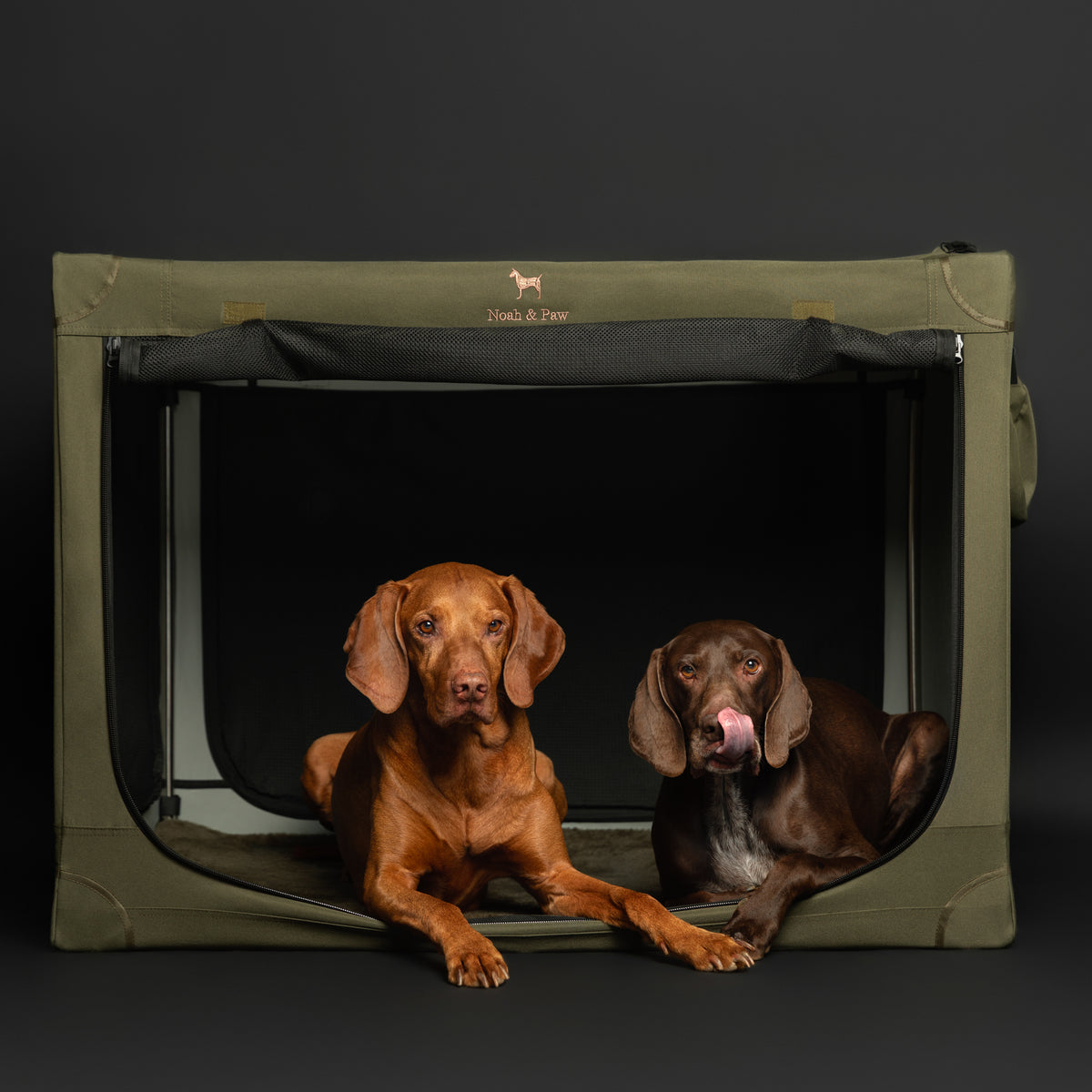 Collapsible dog crate travel | Folding pet crate comfort - Green - XXL