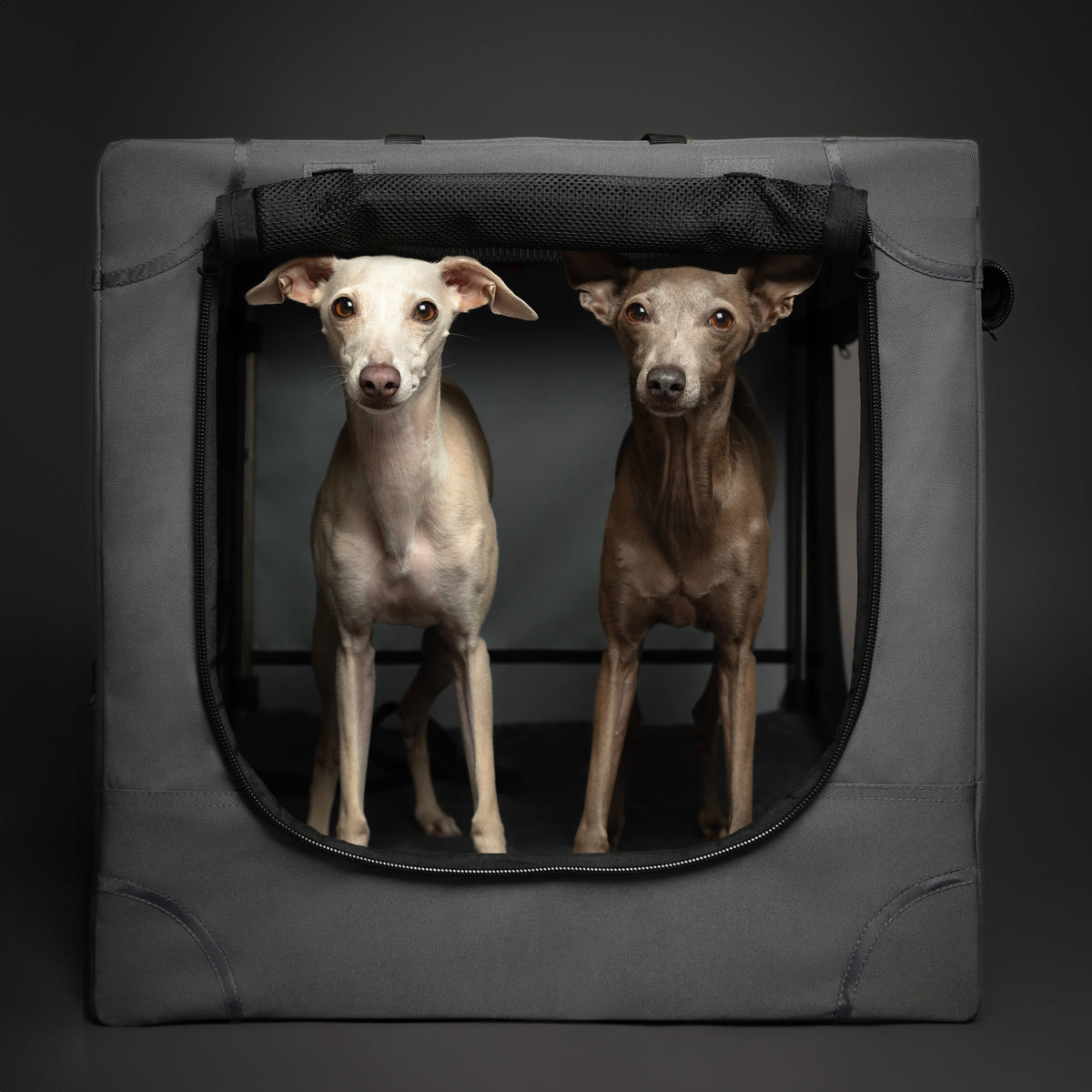 Folding travel dog crate | Collapsible pet crate comfort - Grey - L