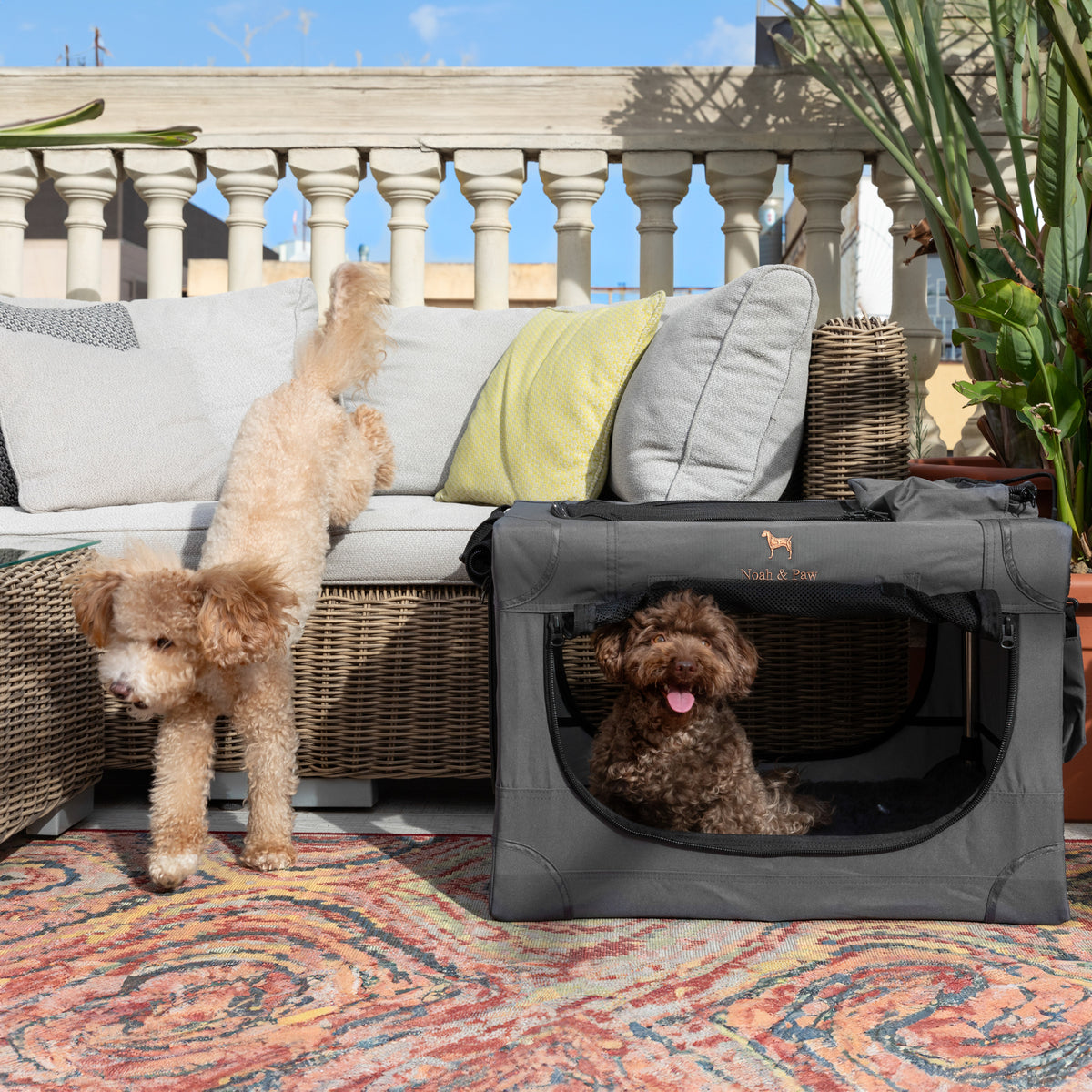 Folding travel dog crate | Collapsible pet crate comfort - Grey - M