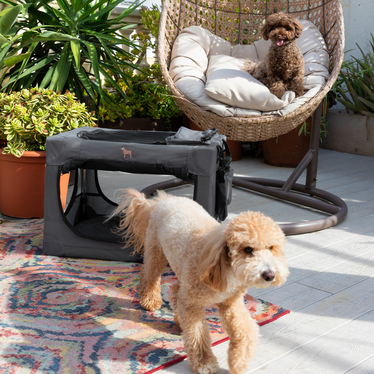 Folding travel dog crate | Collapsible pet crate comfort - Grey - M
