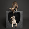 Collapsible Dog Crate Including Pet Mat Ideal for Traveling (Patented Folding)