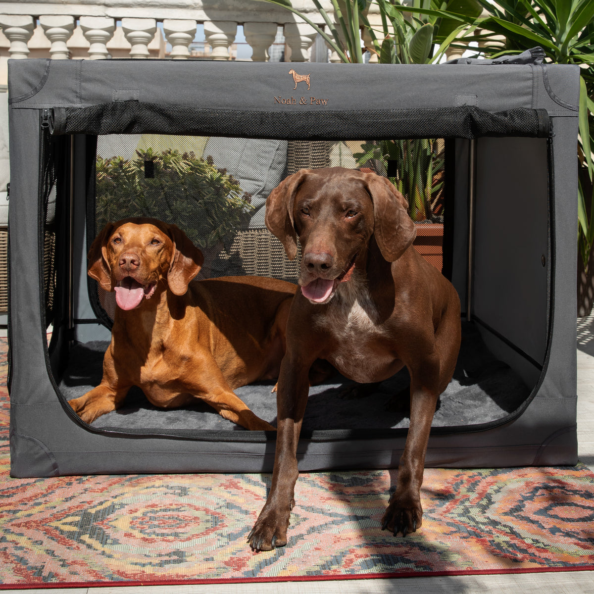 Folding travel dog crate | Collapsible pet crate comfort - Grey - XL