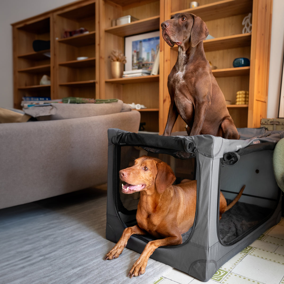 Folding travel dog crate | Collapsible pet crate comfort - Grey - XL