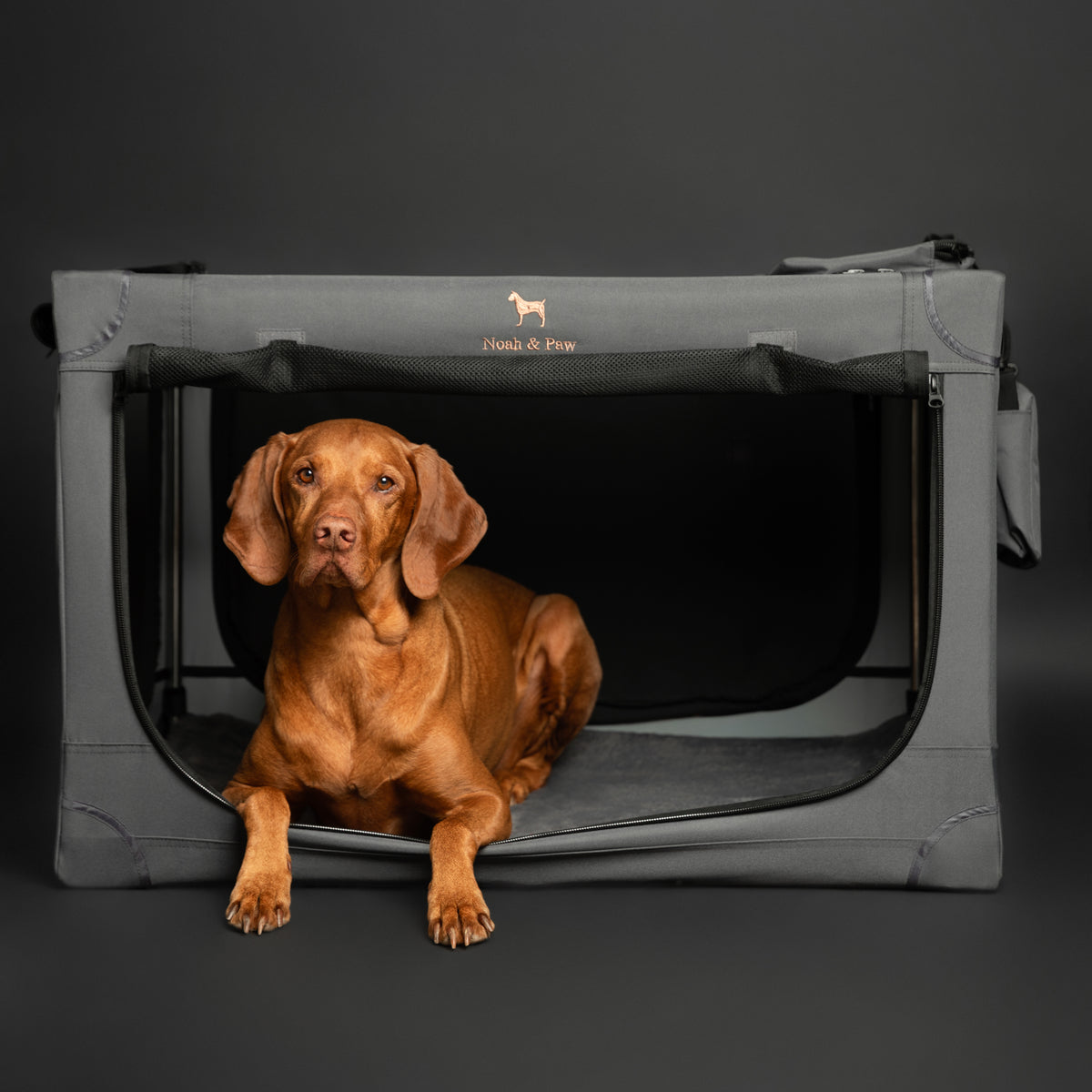 Folding travel dog crate | Collapsible pet crate comfort - Grey - XL