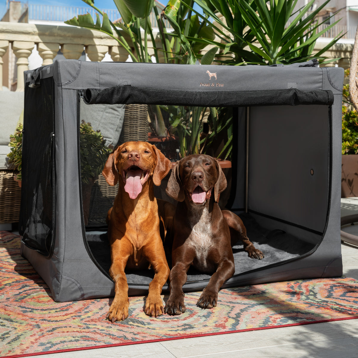 Folding travel dog crate | Collapsible pet crate comfort - Grey - XXL