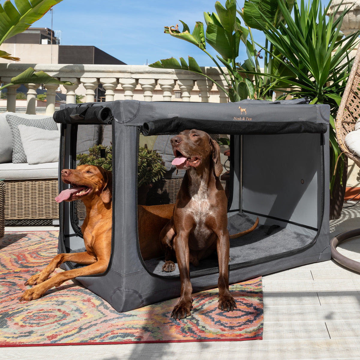 Folding travel dog crate | Collapsible pet crate comfort - Grey - XXL