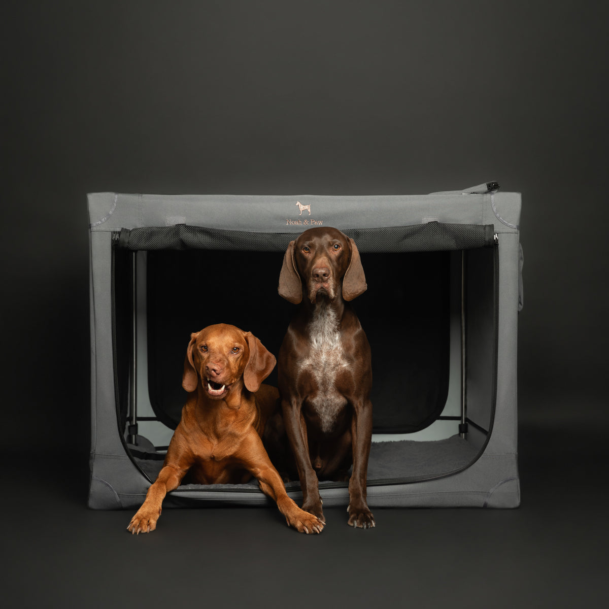 Folding travel dog crate | Collapsible pet crate comfort - Grey - XXL