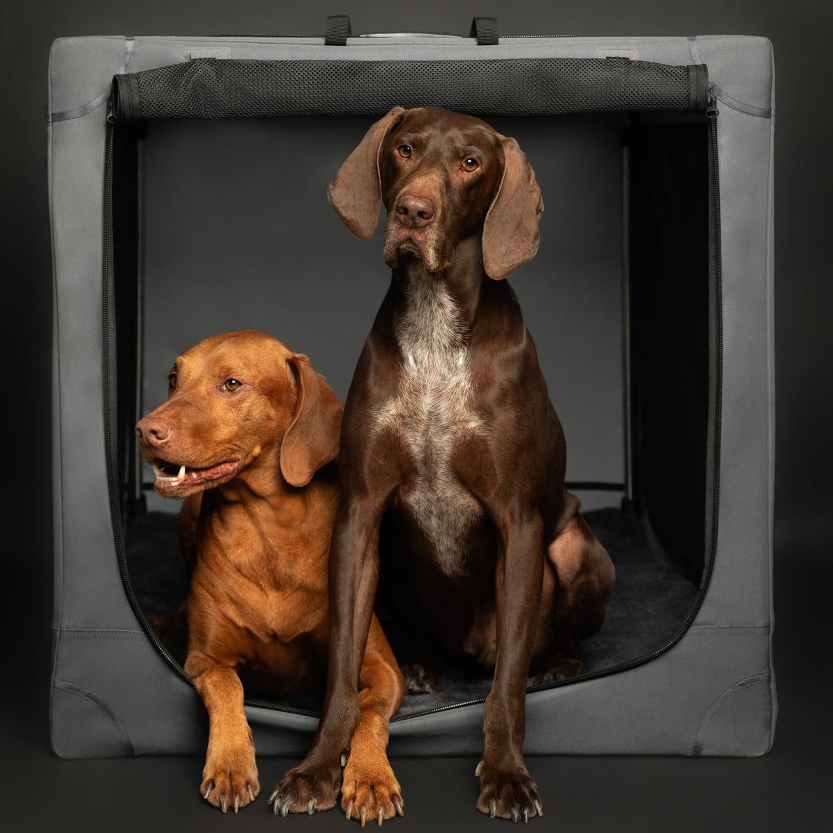 Folding travel dog crate | Collapsible pet crate comfort - Grey - XXL