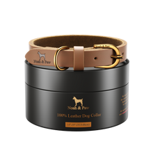 Noah & Paw genuine leather dog collar with oil-wax finish, camel, size M, fits neck 14–19 in