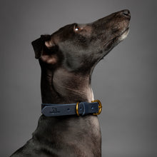 Noah & Paw genuine leather dog collar with oil-wax finish, dark blue, size M, fits neck 14–19 in