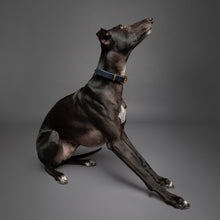 Noah & Paw genuine leather dog collar with oil-wax finish, dark blue, size S, fits neck 11–15 in