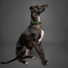 Noah & Paw genuine leather dog collar with oil-wax finish, dark green, size XS, fits neck 9–12 in