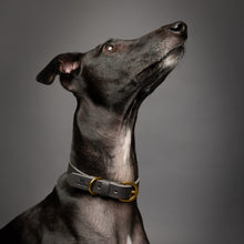 Noah & Paw genuine leather dog collar with oil-wax finish, gray, size M, fits neck 14–19 in