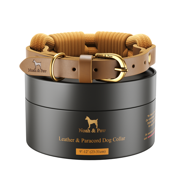 Leather and Paracord Dog Collar, Handmade, Camel