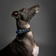 Noah & Paw leather and paracord dog collar with metal buckle, dark blue, size L/XL, fits neck 18–24 in