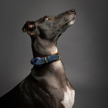 Noah & Paw leather and paracord dog collar with metal buckle, dark blue, size M, fits neck 14–19 in