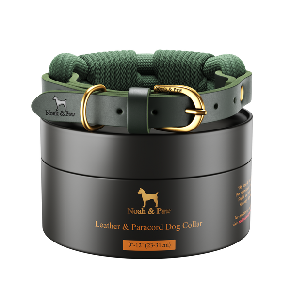 Leather and Paracord Dog Collar, Handmade, Dark Green