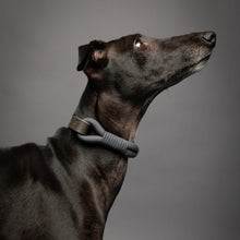 Noah & Paw leather and paracord dog collar with metal buckle, gray, size S, fits neck 11–15 in