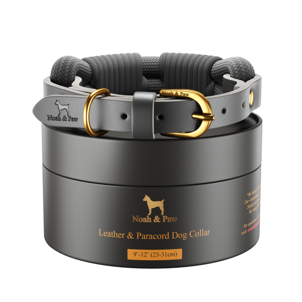 Leather and Paracord Dog Collar, Handmade, Gray