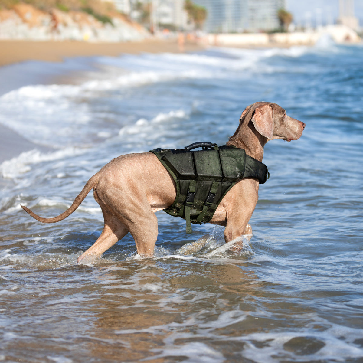 Human Standards Dog Lifejacket Design with 3x Foam for Maxim - LJ3-GR-L