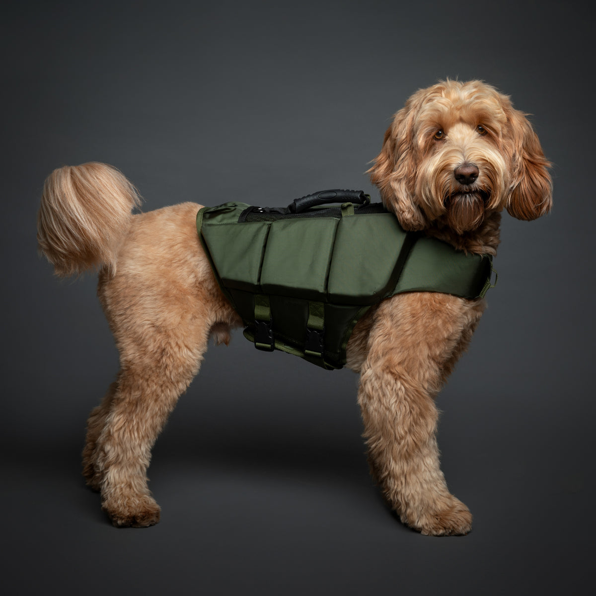 Human Standards Dog Lifejacket Design with 3x Foam for Maxim - LJ3-GR-M