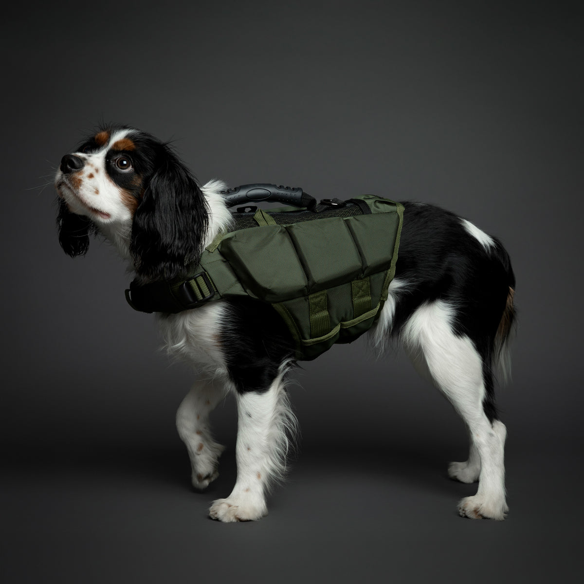Human Standards Dog Lifejacket Design with 3x Foam for Maxim - LJ3-GR-M