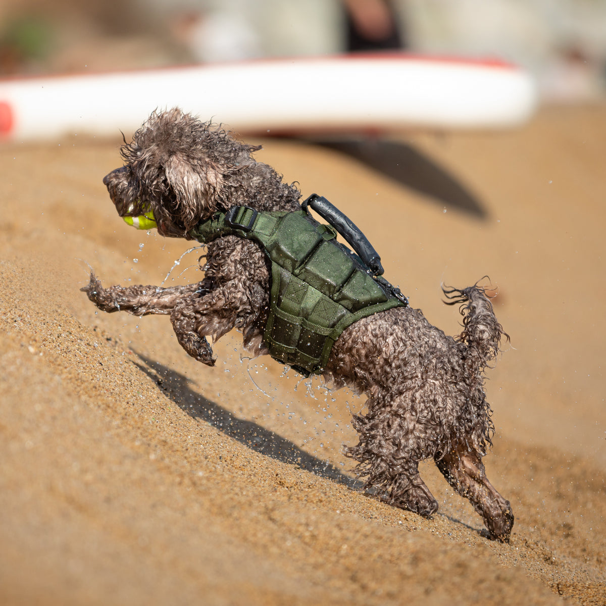 Human Standards Dog Lifejacket Design with 3x Foam for Maxim - LJ3-GR-S