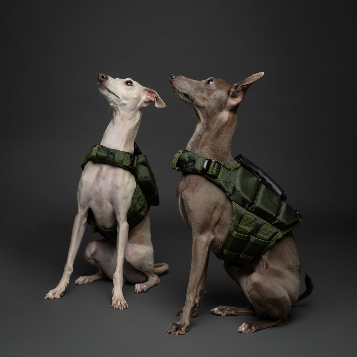 Human Standards Dog Lifejacket Design with 3x Foam for Maxim - LJ3-GR-S