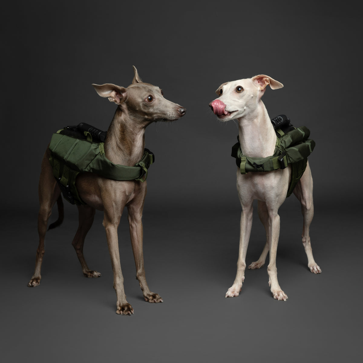 Human Standards Dog Lifejacket Design with 3x Foam for Maxim - LJ3-GR-S