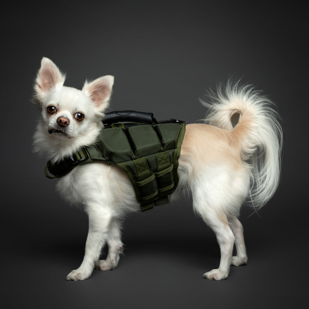 Human Standards Dog Lifejacket Design with 3x Foam for Maxim - LJ3-GR-S